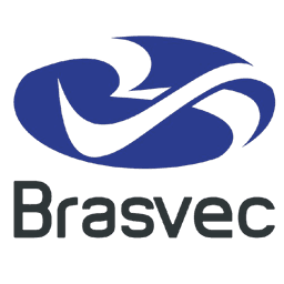 Logo Brasvec